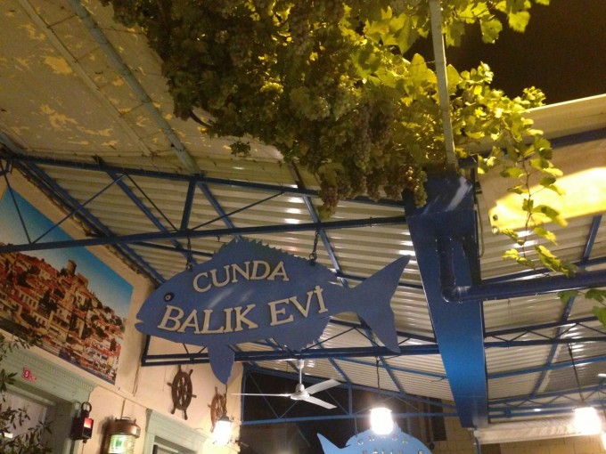 tumblr_mrnb52ZqpD1qgelako1_1280