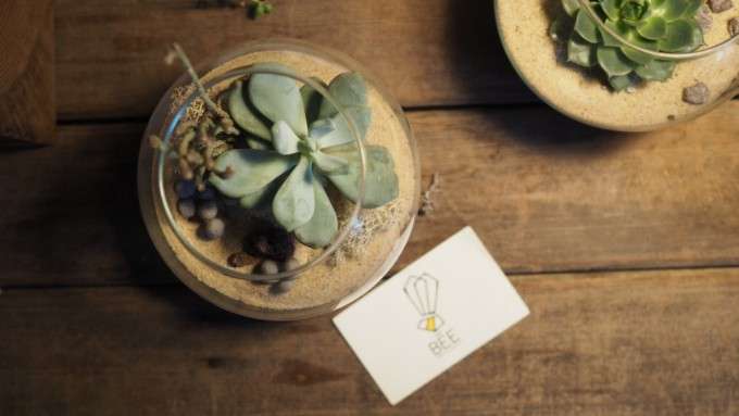 bee design and flower shop