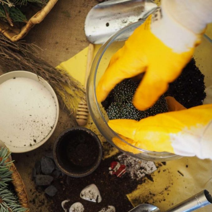 how to make a terrarium
