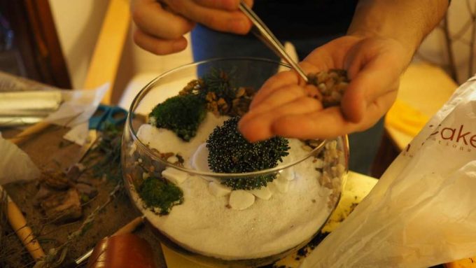 terrarium workshop