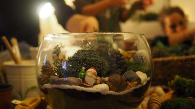 how to make terrarium