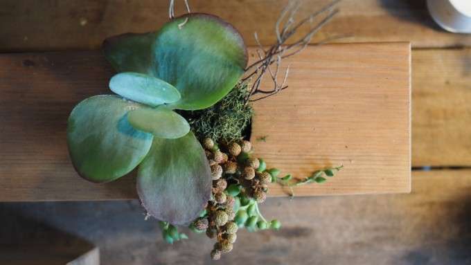 terrarium workshop