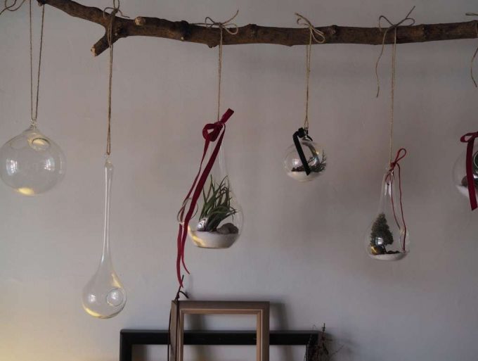 terrarium workshop
