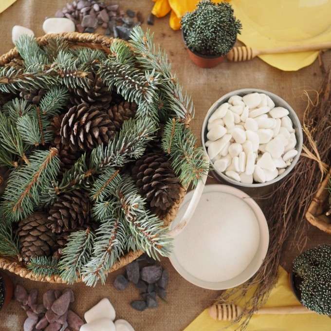 terrarium workshop