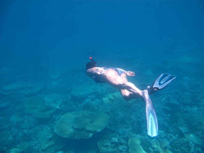 maldives-islands-prontotourNIYAMA_CoralGarden_2015  (65)