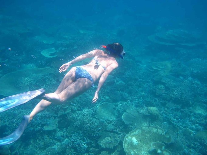 maldives-islands-prontotourNIYAMA_CoralGarden_2015  (71)