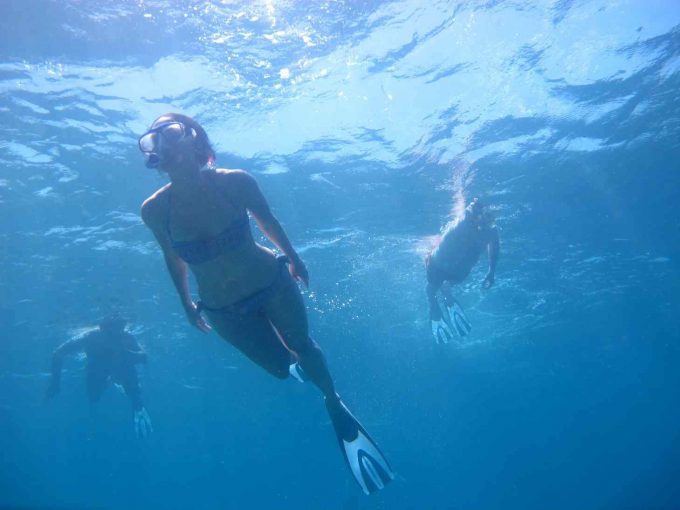 maldives-islands-prontotourNIYAMA_CoralGarden_2015  (74)