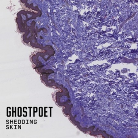 ghostpoet-shedding-skin-best-albums-of-2015-en-iyi-albumler