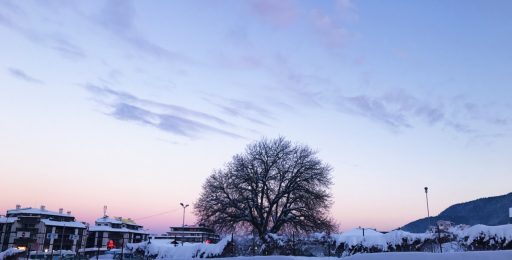 IMG_9898